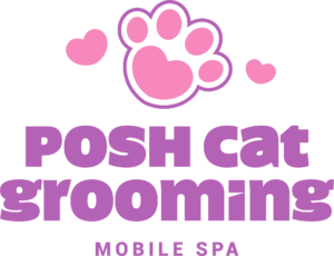 Posh-Cat-Grooming